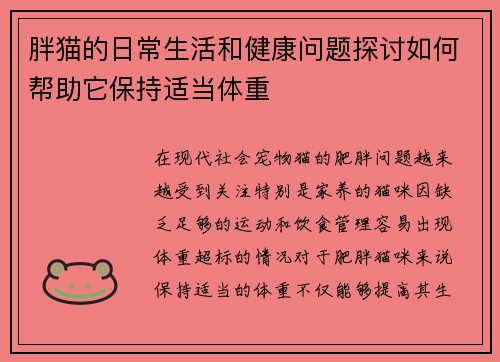 胖猫的日常生活和健康问题探讨如何帮助它保持适当体重